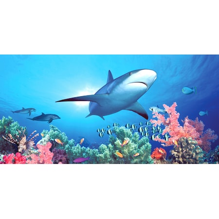Biggies Scenes Wall Murals-Shark Reef, 54 in wide x 27 in high BG-WM-SRF-54